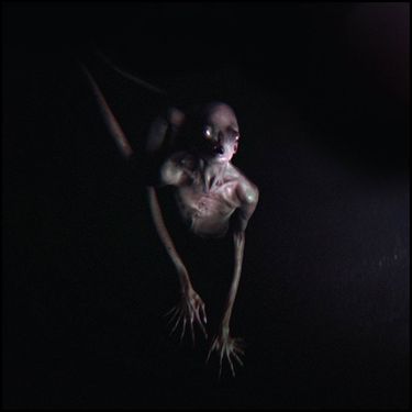 TOOL - Opiate&sup2;