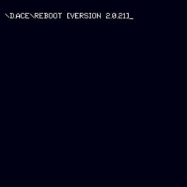 D.ACE - REBOOT