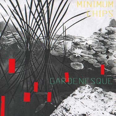 Minimum Chips - Gardenesque