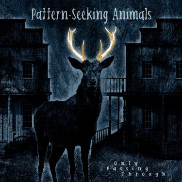 Pattern-Seeking Animals - Passing Through