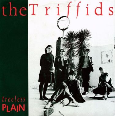 The Triffids - Treeless Plain