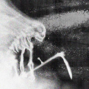 grayera - wraith