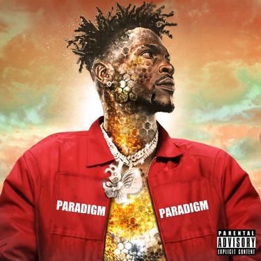 AB - Paradigm