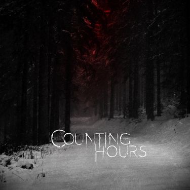Counting Hours - The Will