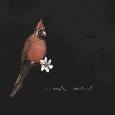 In Angles - Cardinal