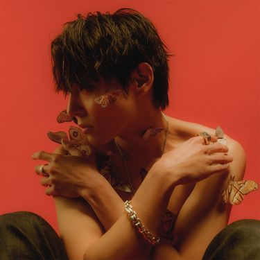 WOOSUNG - MOTH
