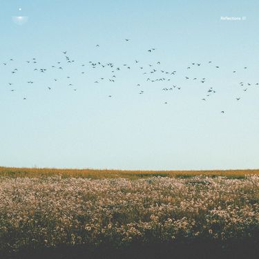 Various Artists - Reflections 01