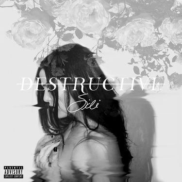 Sidi - Destructive