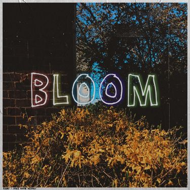 Adam! - Bloom