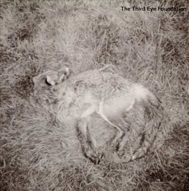 The Third Eye Foundation - Semtex