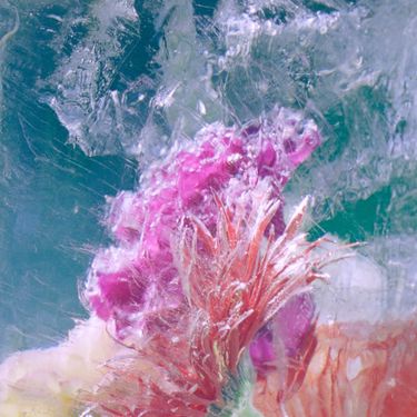 Efterklang - Plexiglass