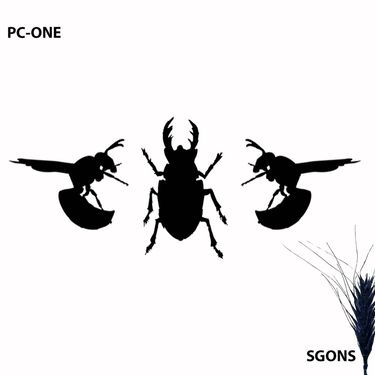 PC-One - Sgons