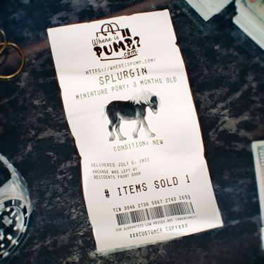 Lil Pump - Splurgin
