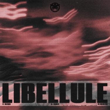 Akeos - Libellule