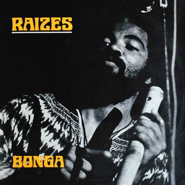 Bonga - Raizes