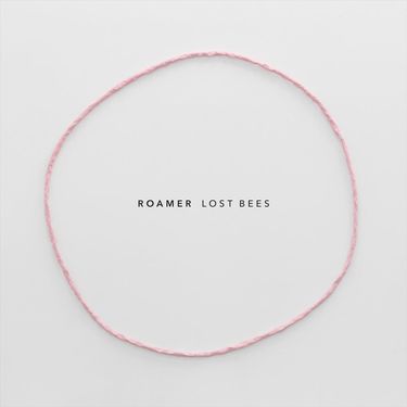 Roamer - Lost Bees