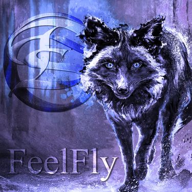 Dayshell - FeelFly