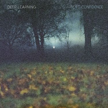 Deep Learning - Soft Confidence