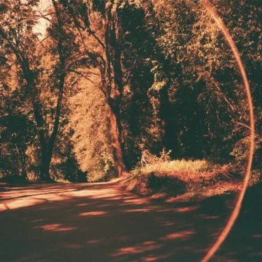 Beth Orton - Friday Night