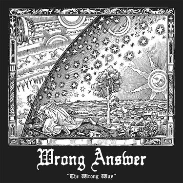 Wrong Answer - The Wrong Way