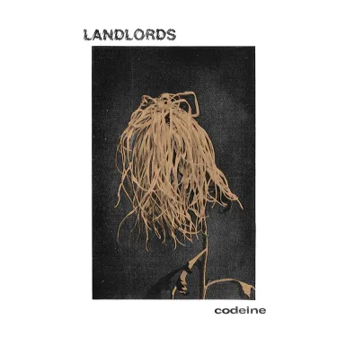 Landlords - Codeine