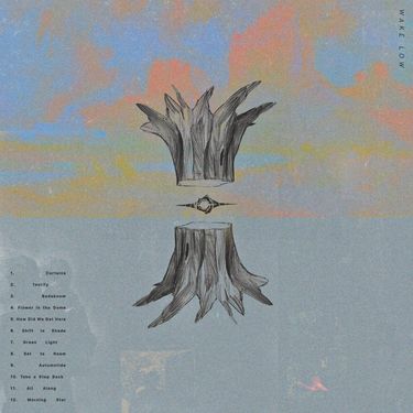 Wake Low - Wake Low