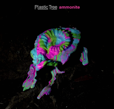 Plastic Tree - Ammonite