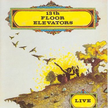 The 13th Floor Elevators - Live