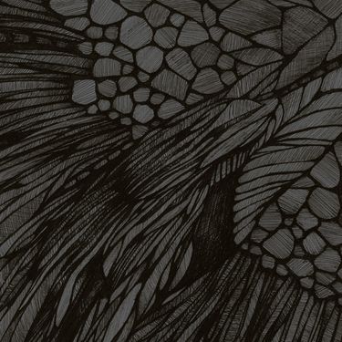 Calibre - Overflow