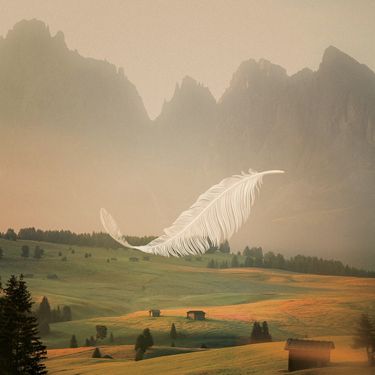 Echo Map - Feather