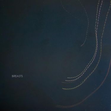 Breasts - Breasts