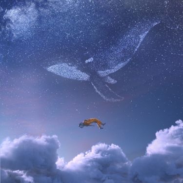 Iday - Soaring 2