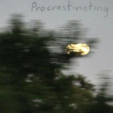 CER10 - Procrastinating