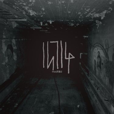 Intig - Modf&auml;lld