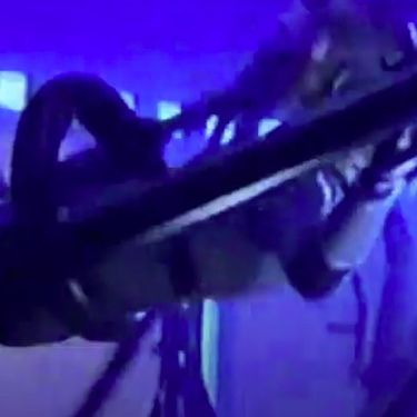 Oh - レモンフラワー