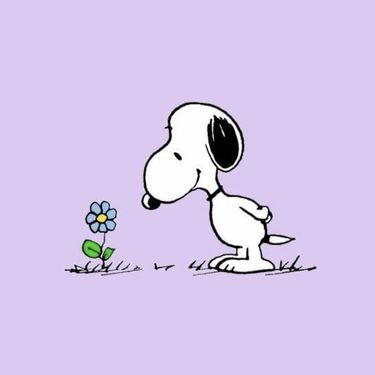 dkj - Flower