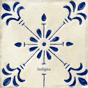 Indignu - adeus