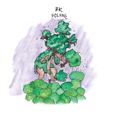 BK & Pineapple StormTV - Folhas