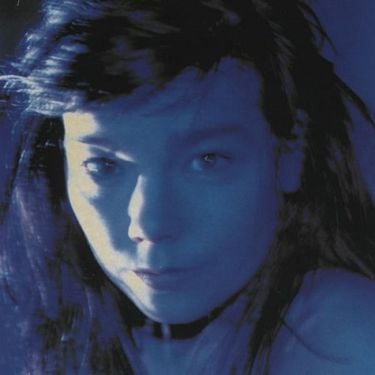 Bj&ouml;rk - Telegram