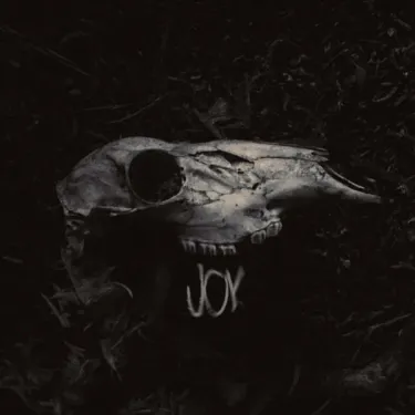 Joy - Joy