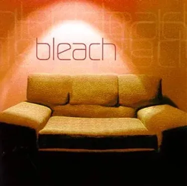 Bleach - Bleach