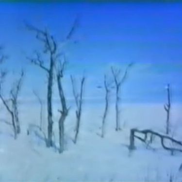 セルシオ [Serushio] - branches