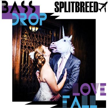 SPLITBREED - BassDrop LoveFall