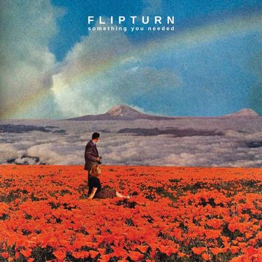 flipturn - Something You Needed
