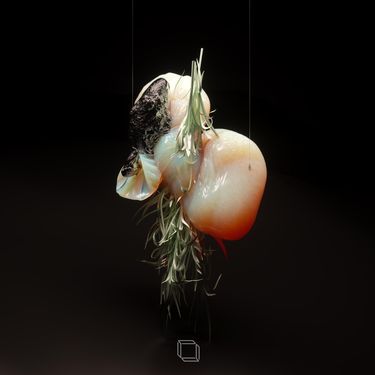 NKC - Tincture
