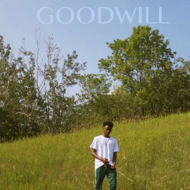 ARDN - Goodwill