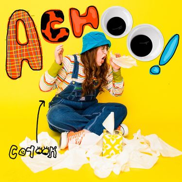 corook - achoo!