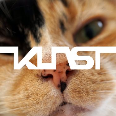 Kunst - Kunst