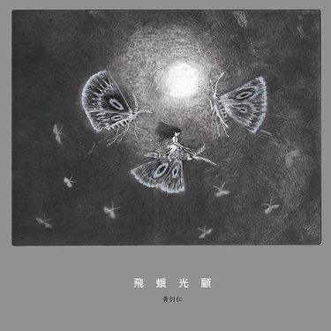 黄衍仁 - 飛蛾光顧