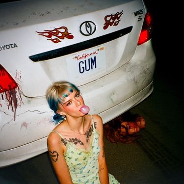 Devon Again - Gum